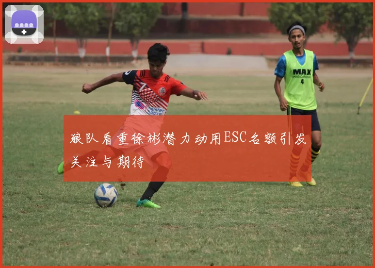 狼队看重徐彬潜力动用ESC名额引发关注与期待