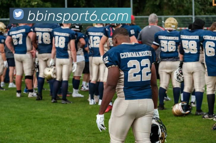 BBIN体育平台生态图